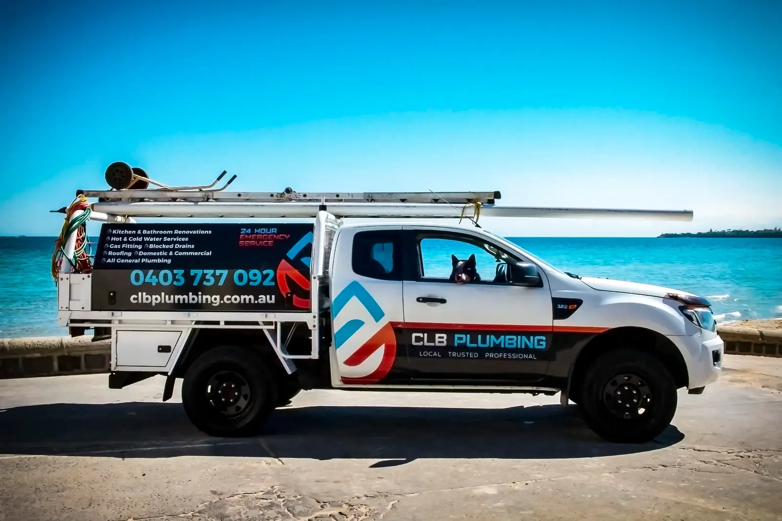 Plumber Ute with Dog